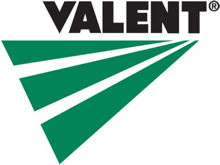 Logo-Valent